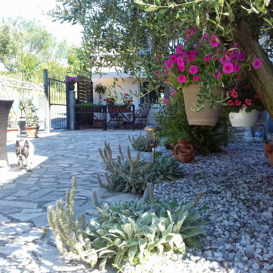 Apartments Villa Bazilika Secovlje Luaran gambar