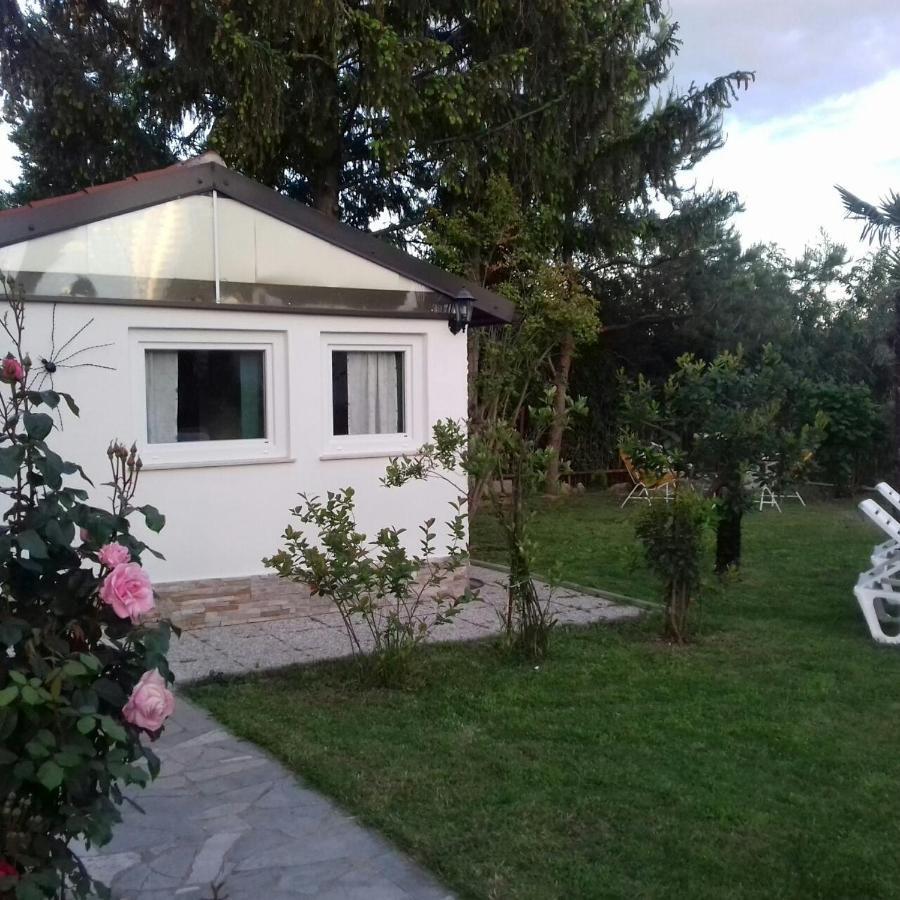 Apartments Villa Bazilika Secovlje Luaran gambar