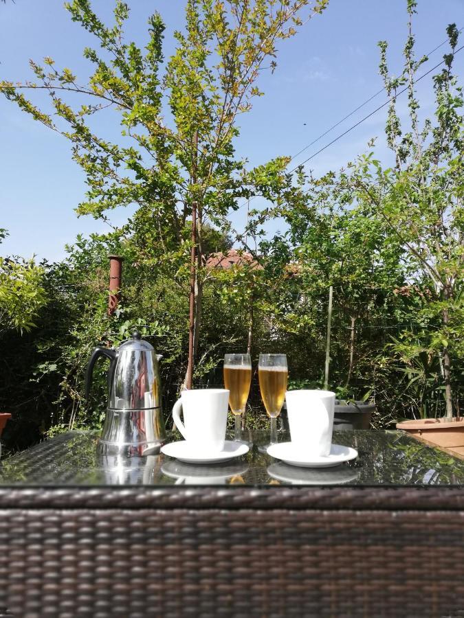 Apartments Villa Bazilika Secovlje Luaran gambar